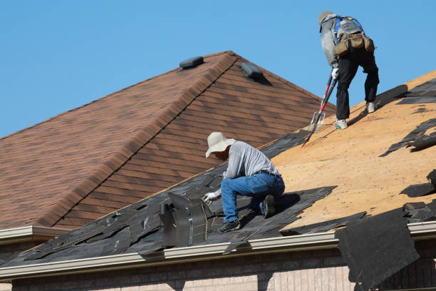 Best Roof Maintenance and Cleaning  in Grandview, TX